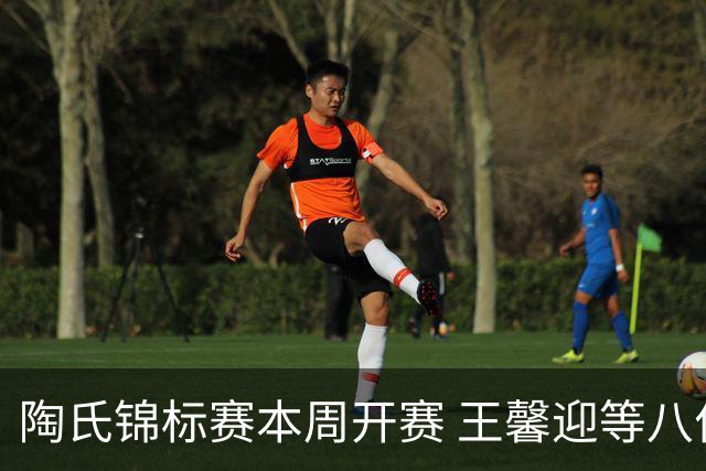 陶氏锦标赛本周开赛 王馨迎等八位金花组成五队参赛